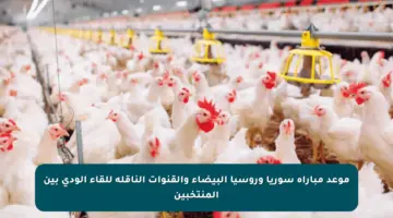 موعد مباراة سوريا وروسيا البيضاء والقنوات الناقلة للقاء الودي بين المنتخبين